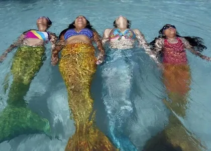 Tendance monopalme de sirène 6 queue de sirenes jpg