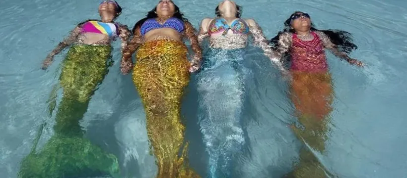 queue de sirenes jpg