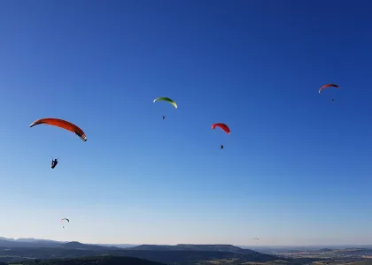 sport a sensation jpg