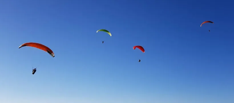 sport a sensation jpg