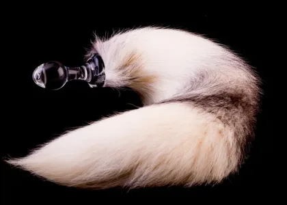 70abdaa8d9b1c3081d6a21042f80ccf7 jpe