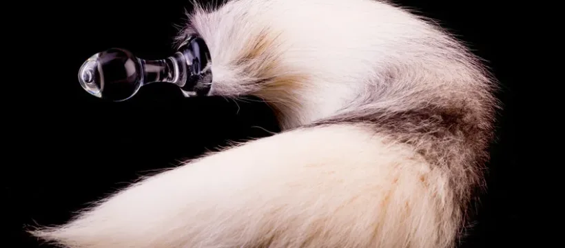 70abdaa8d9b1c3081d6a21042f80ccf7 jpe