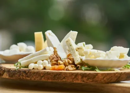 La Symphonie Fromagère Française : Une Exploration des Fromages les Plus Appréciés 5 fromage jpg