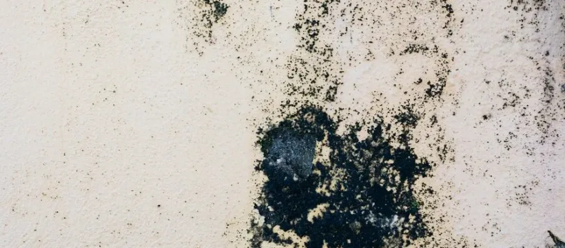 a73071687083356206103c98c256f7b2 html 6ce51f77 png