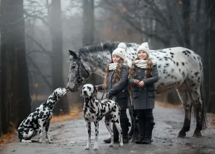deux fillettesavecun cheval et deux chiens