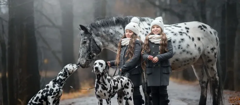 deux fillettesavecun cheval et deux chiens