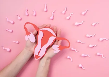 insemination intra uterine