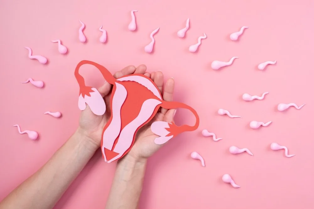 insémination intra-utérine